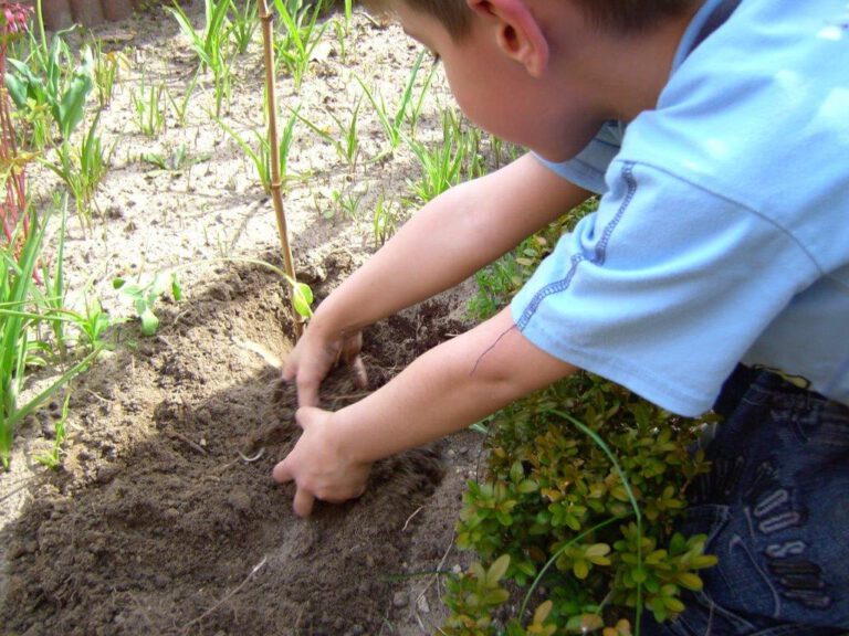 Kind pflanzt im Garten der Kita ForumHaus